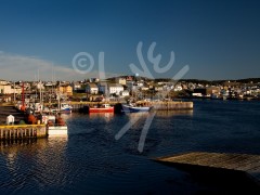 Bonavista
